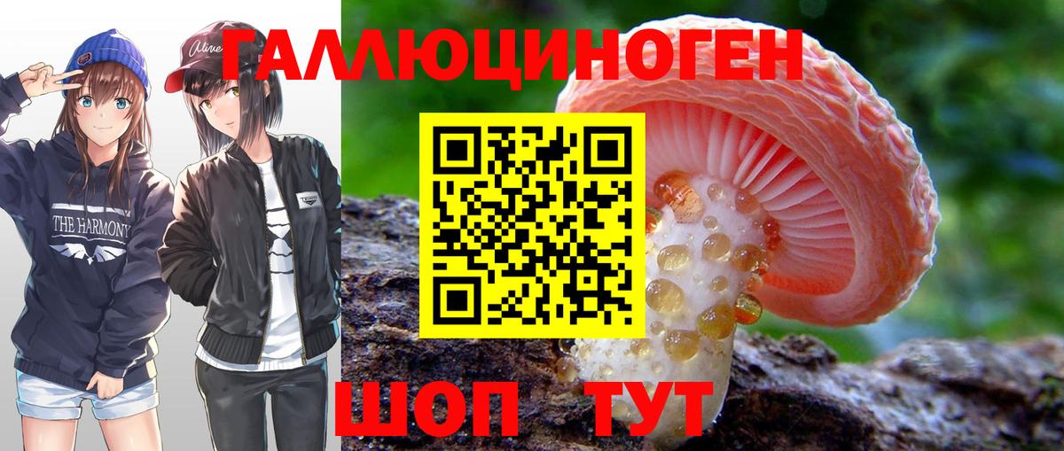 Камень-на-Оби  Псилоцибиновые грибы мицелий  Вход с VPN 